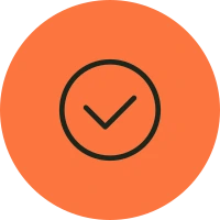 Check Icon Orange